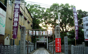 祭礼用　宮のぼり　紫
